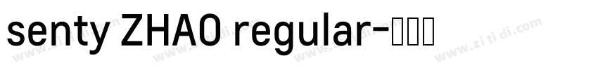 senty ZHAO regular字体转换